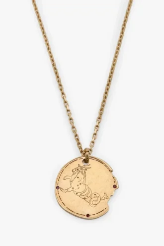 Steenbok sterrenbeeld ketting