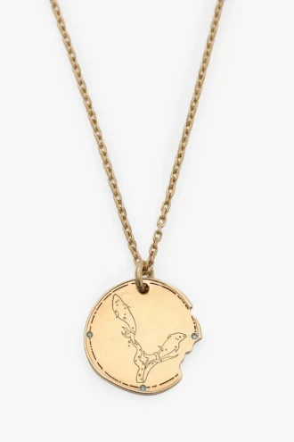 Vissen sterrenbeeld ketting Vissen sterrenbeeld ketting